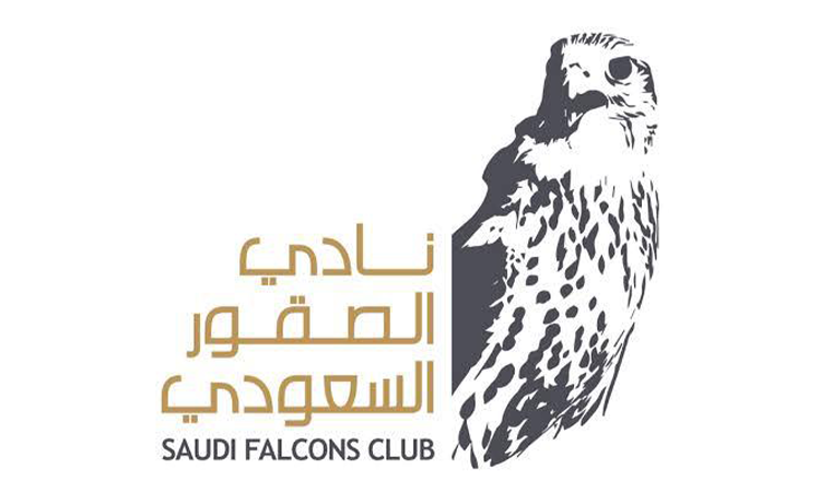 saudi falcons club